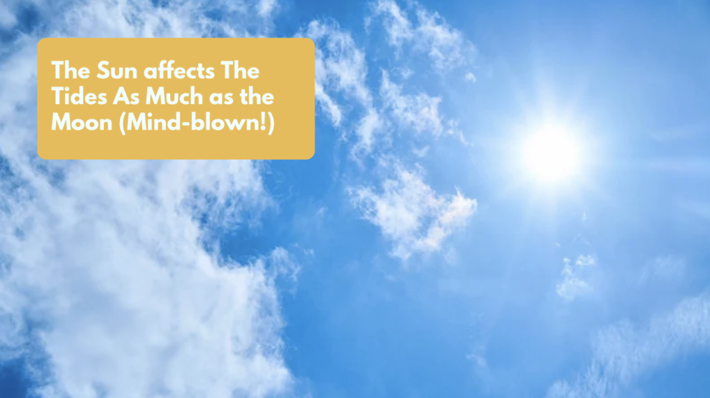 The Sun affects The Tides As Much as the Moon (Mind-blown!)