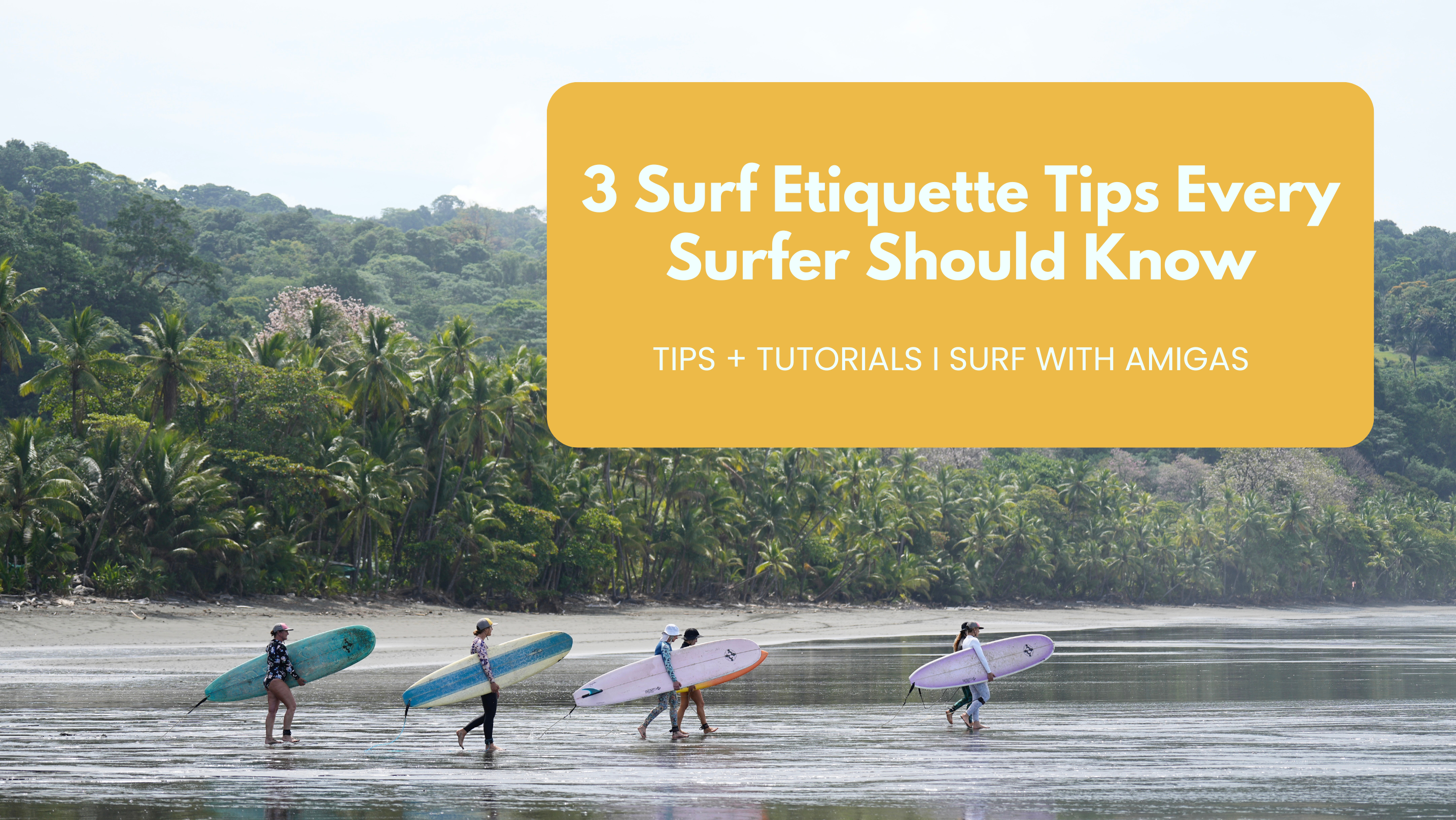 Beginners Guide To Surfing: Surf Etiquette