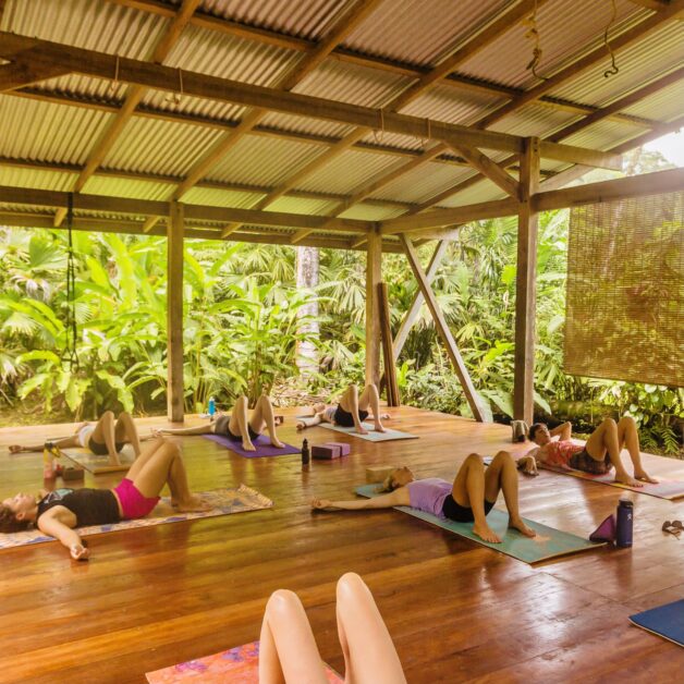 Jungle Retreat Yoga Surf With Amigas