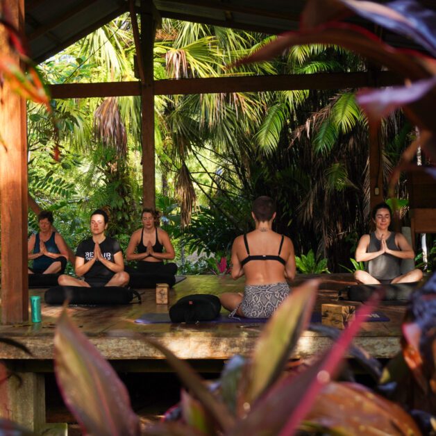 Jungle Retreat Yoga Surf With Amigas