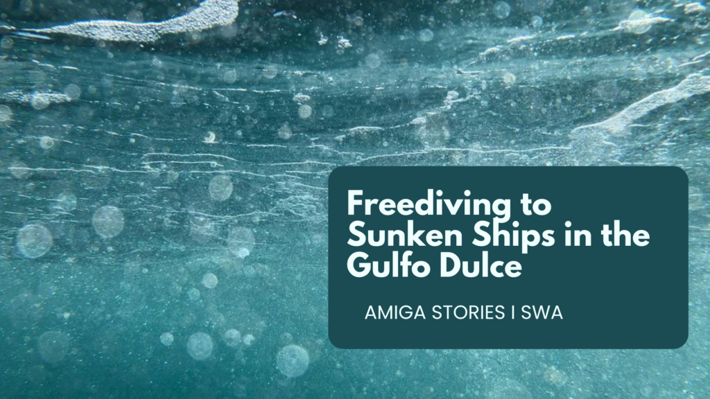 Freediving to Sunken Ships in the Gulfo Dulce