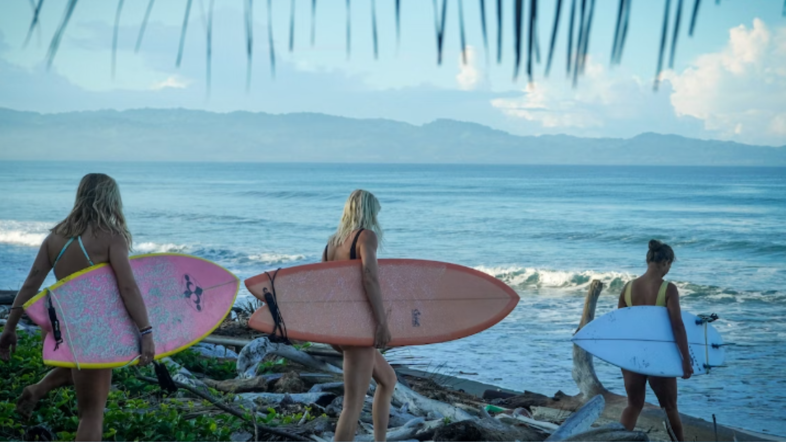 surf with amigas retreats, online platform