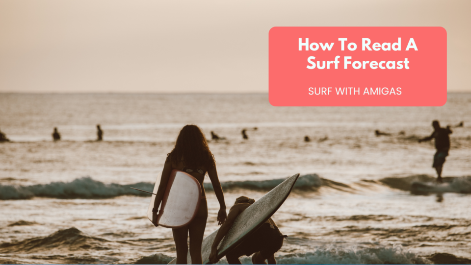 surf with amigas online, how to read a surf forecast